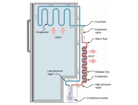 how to fix a freon leak in refrigerator|Refrigerator Freon Leak: Detect & Fix In Under 20 Minutes